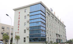 商务部办公厅新闻办处长陈桂生来公司采访